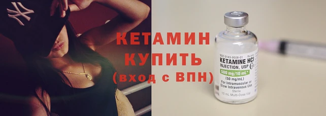СК Новодвинск