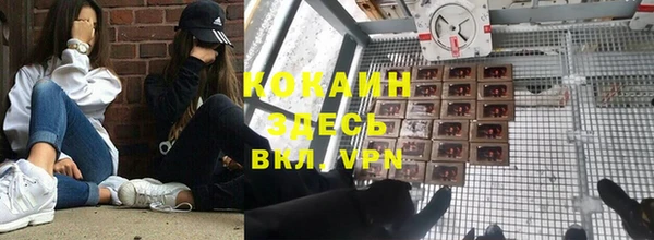 гидропоника Алзамай